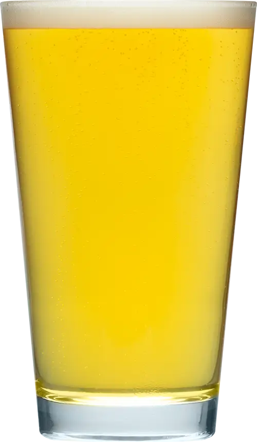 僕ビール君ビール