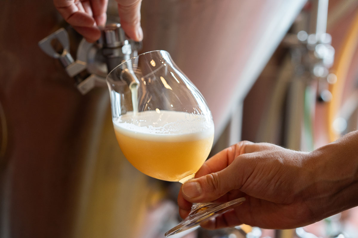 限定ビール「上富良野産ソラチエース DDH Hazy Double IPA」発売