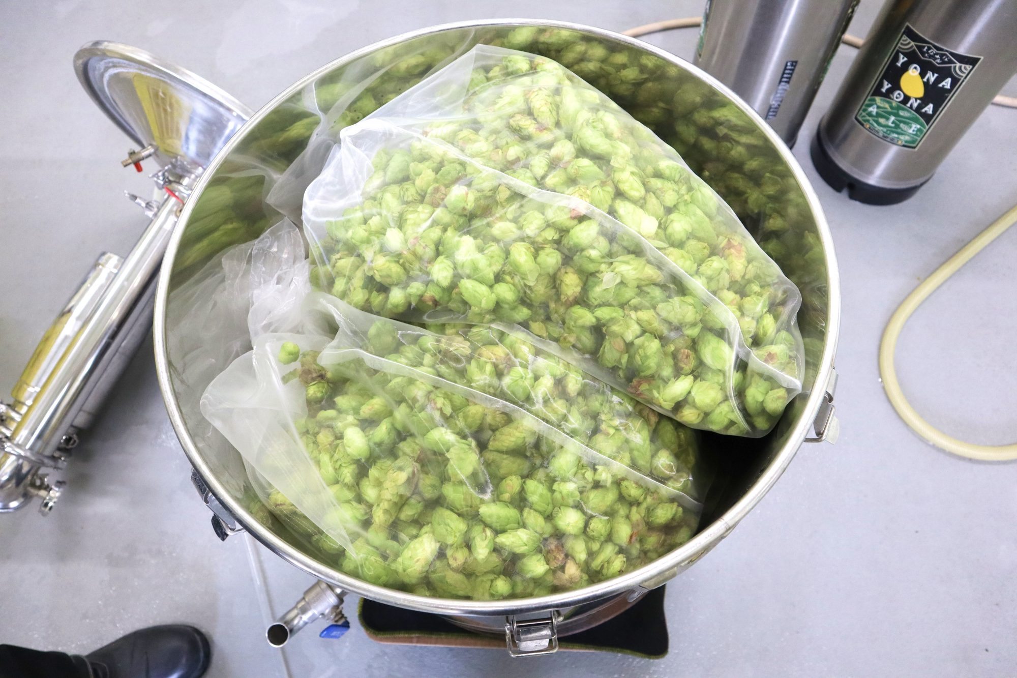 軽井沢ビール クラフトザウルス フレッシュホップエール2024」新発売