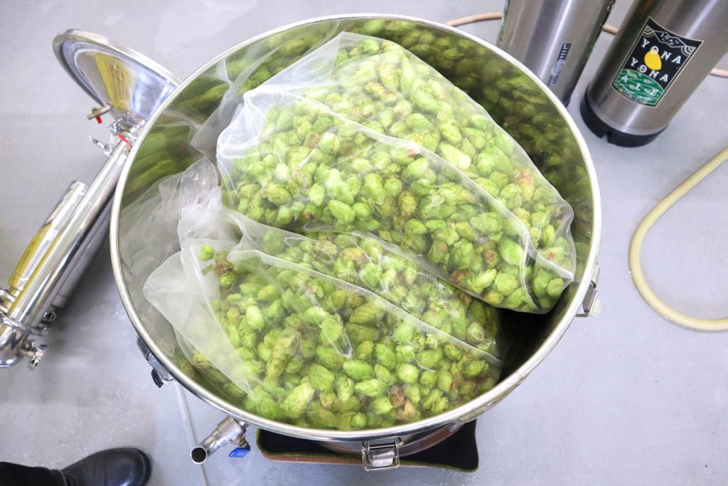 軽井沢ビール クラフトザウルス フレッシュホップエール2025」新発売