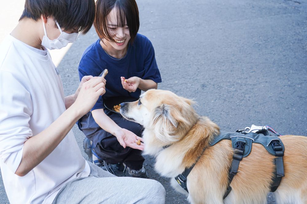酪農学園大学内で管理している犬に学生たちが試作品を与えてテストしている様子