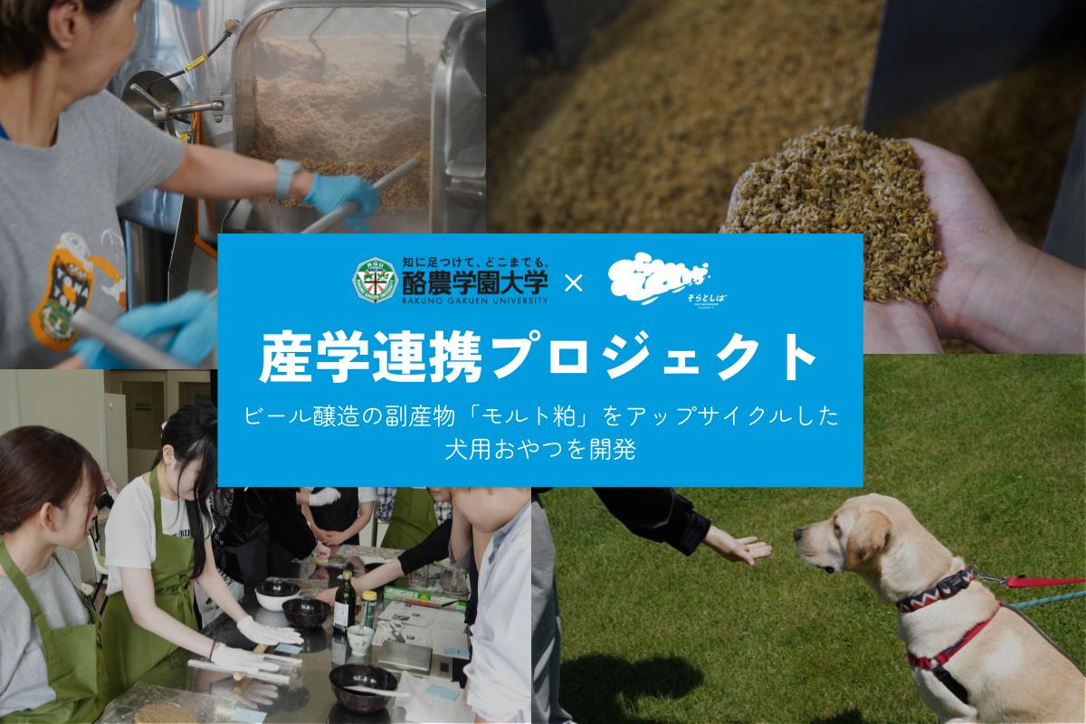 ビール醸造の副産物「モルト粕」を犬用おやつにアップサイクルする産学連携プロジェクト始動