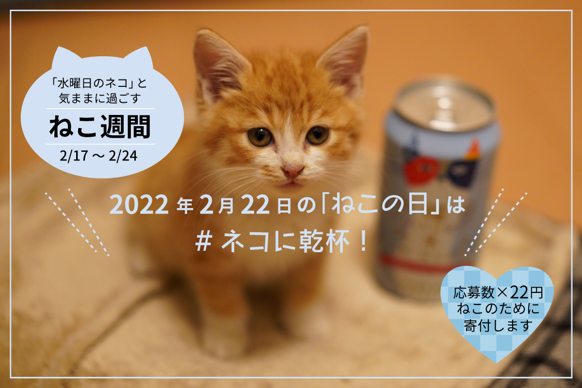 2月22日（ねこの日）「#ネコに乾杯」SNS投稿キャンペーン　 期間中の投稿数×22円をどうぶつ基金に寄付